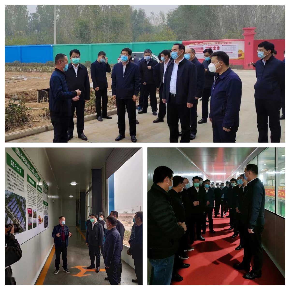 WechatIMG2462 WechatIMG2462